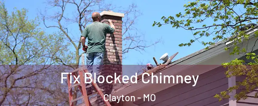 Fix Blocked Chimney Clayton - MO