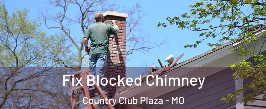 Fix Blocked Chimney Country Club Plaza - MO