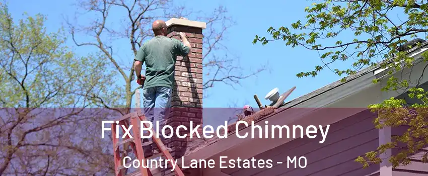 Fix Blocked Chimney Country Lane Estates - MO