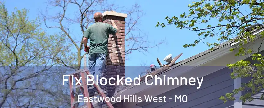 Fix Blocked Chimney Eastwood Hills West - MO