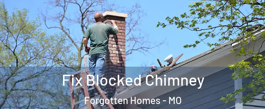 Fix Blocked Chimney Forgotten Homes - MO