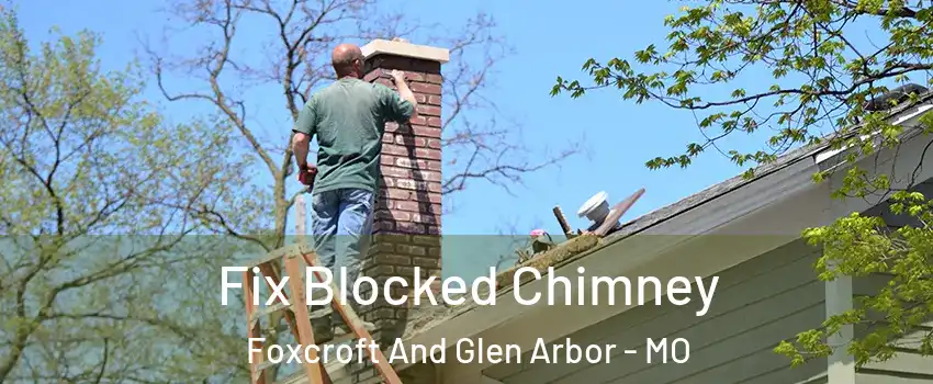 Fix Blocked Chimney Foxcroft And Glen Arbor - MO