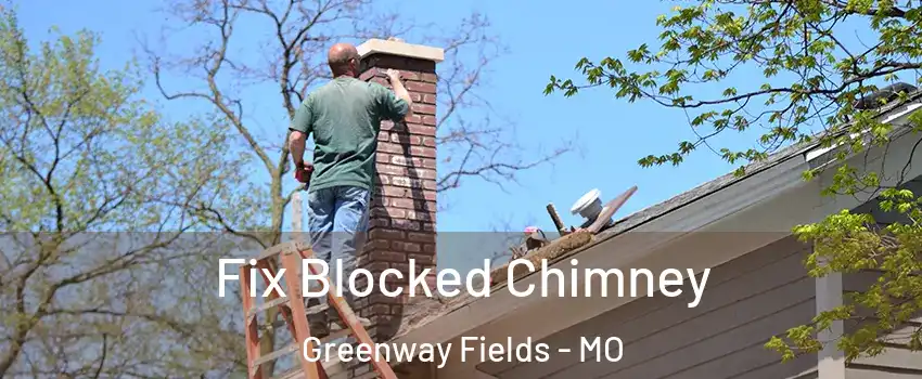 Fix Blocked Chimney Greenway Fields - MO