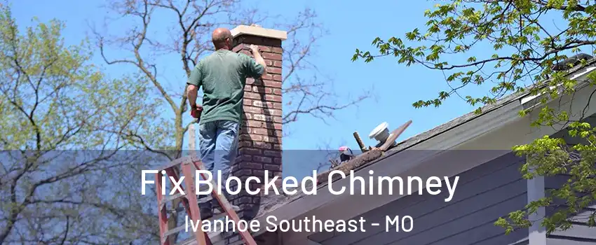 Fix Blocked Chimney Ivanhoe Southeast - MO