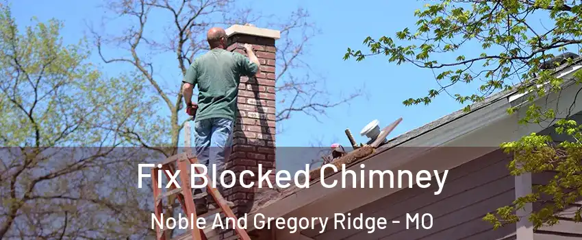 Fix Blocked Chimney Noble And Gregory Ridge - MO