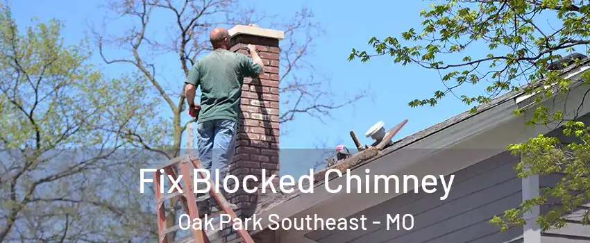 Fix Blocked Chimney Oak Park Southeast - MO