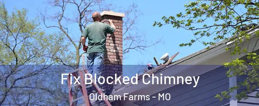 Fix Blocked Chimney Oldham Farms - MO