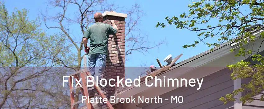 Fix Blocked Chimney Platte Brook North - MO