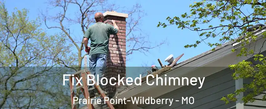 Fix Blocked Chimney Prairie Point-Wildberry - MO