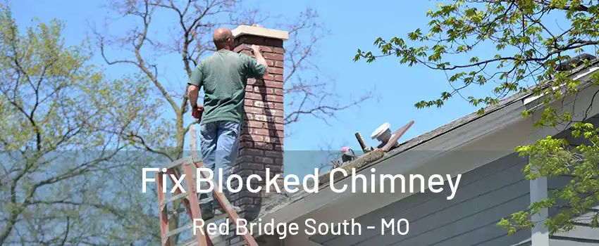 Fix Blocked Chimney Red Bridge South - MO