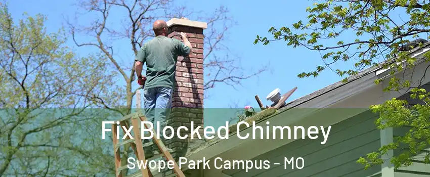 Fix Blocked Chimney Swope Park Campus - MO