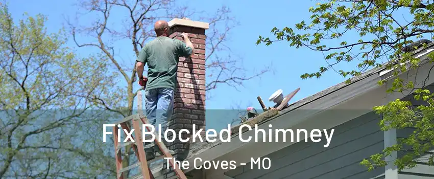 Fix Blocked Chimney The Coves - MO