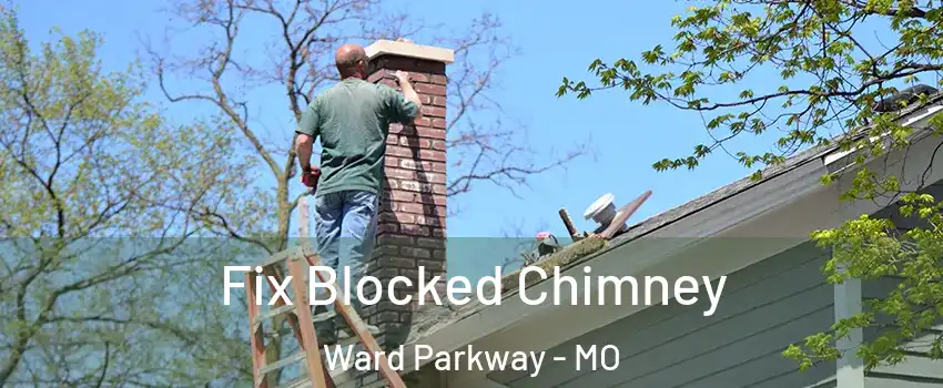 Fix Blocked Chimney Ward Parkway - MO