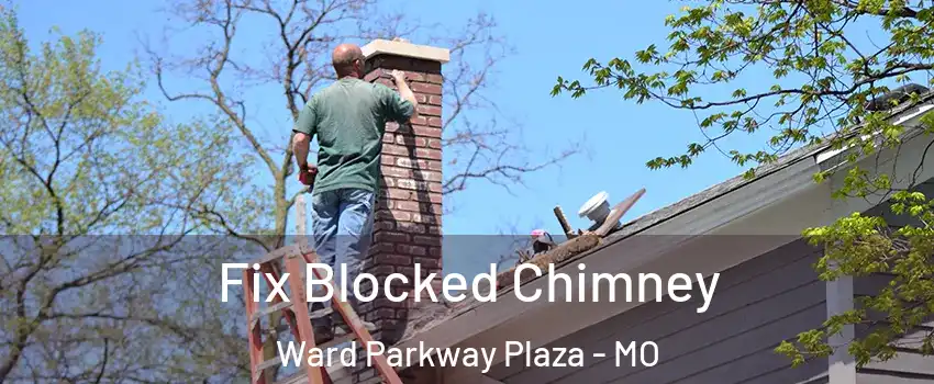 Fix Blocked Chimney Ward Parkway Plaza - MO