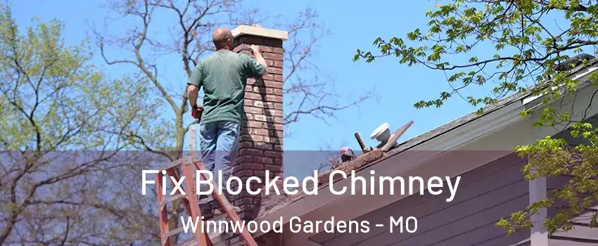 Fix Blocked Chimney Winnwood Gardens - MO