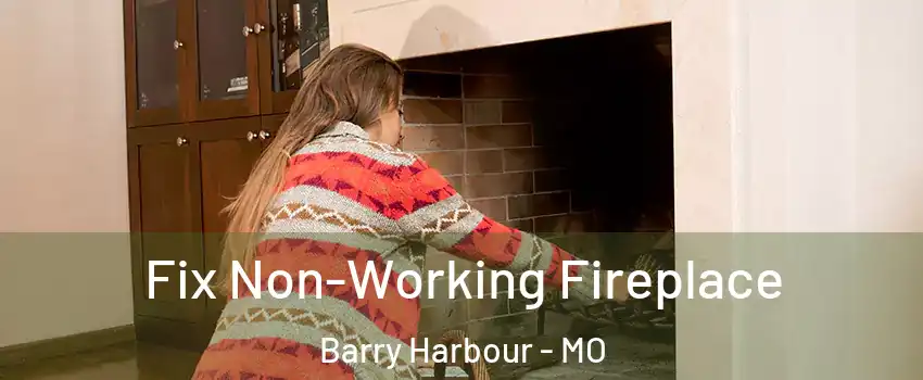 Fix Non-Working Fireplace Barry Harbour - MO