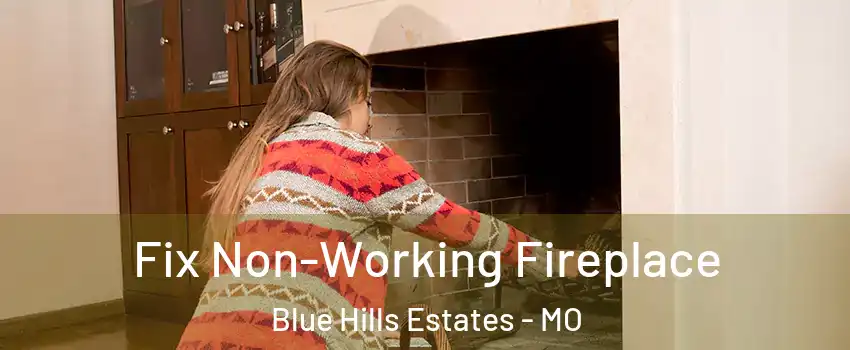 Fix Non-Working Fireplace Blue Hills Estates - MO