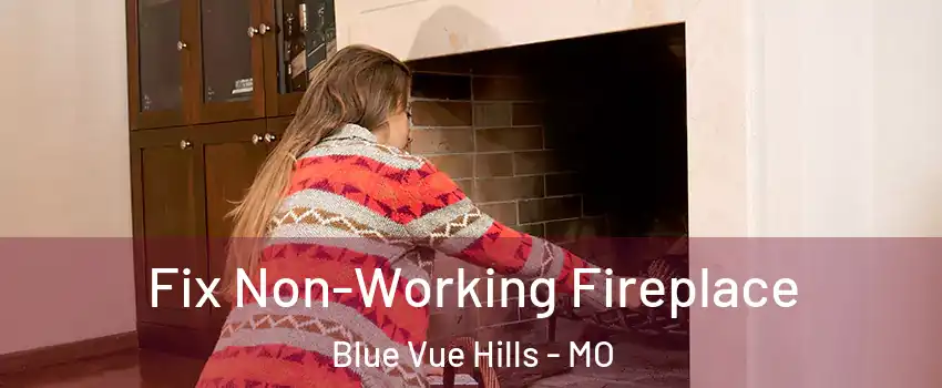 Fix Non-Working Fireplace Blue Vue Hills - MO