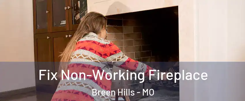 Fix Non-Working Fireplace Breen Hills - MO