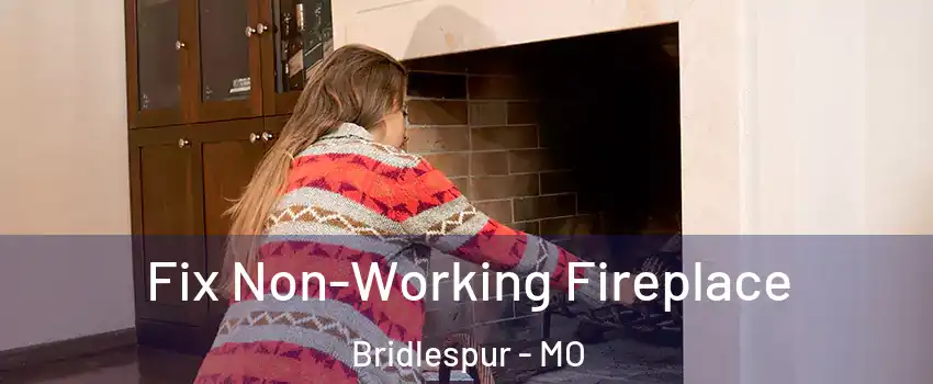 Fix Non-Working Fireplace Bridlespur - MO