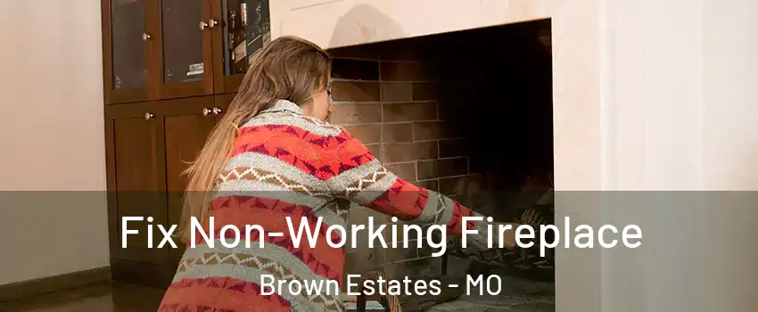 Fix Non-Working Fireplace Brown Estates - MO