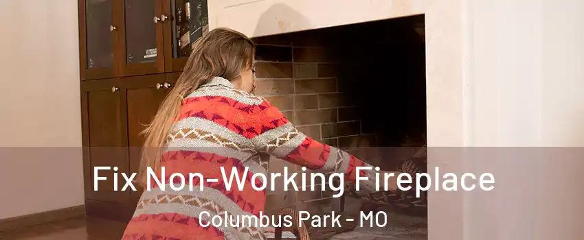 Fix Non-Working Fireplace Columbus Park - MO