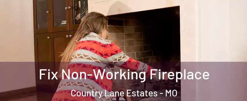 Fix Non-Working Fireplace Country Lane Estates - MO