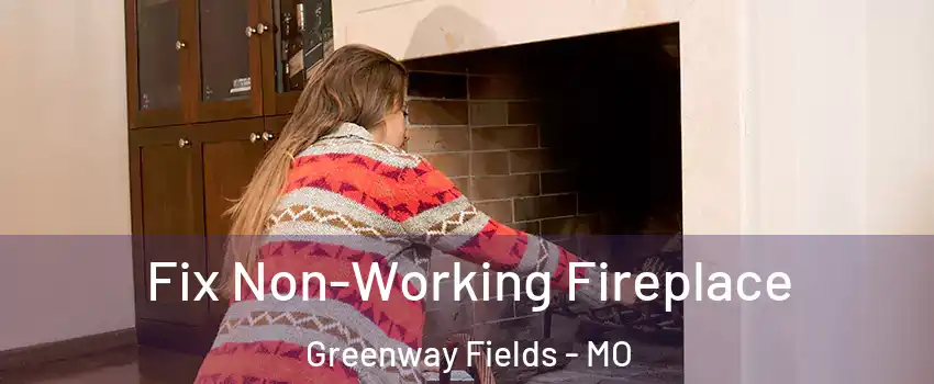 Fix Non-Working Fireplace Greenway Fields - MO