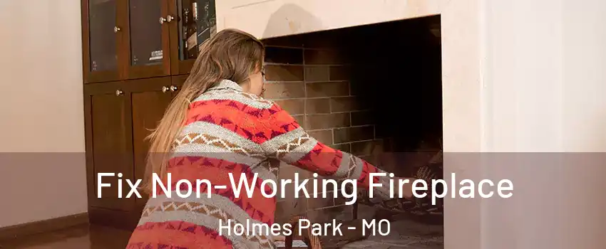 Fix Non-Working Fireplace Holmes Park - MO