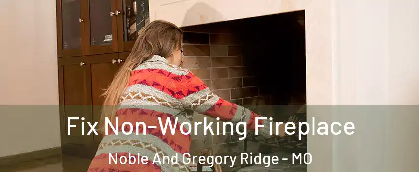 Fix Non-Working Fireplace Noble And Gregory Ridge - MO