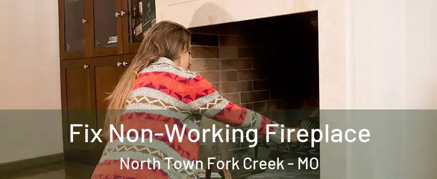 Fix Non-Working Fireplace North Town Fork Creek - MO