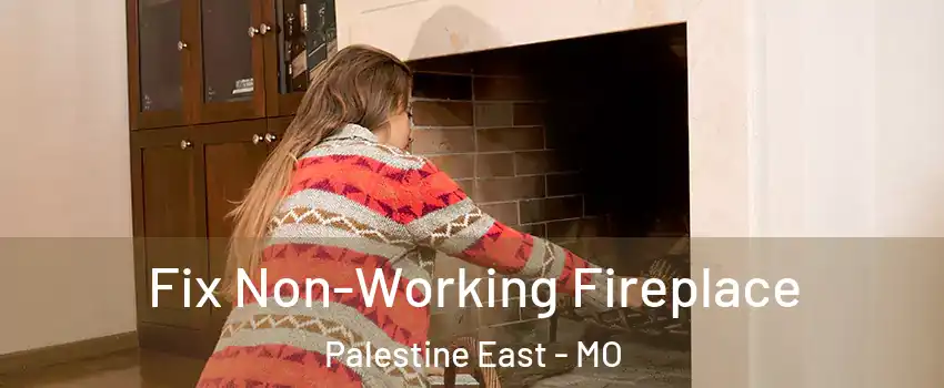 Fix Non-Working Fireplace Palestine East - MO