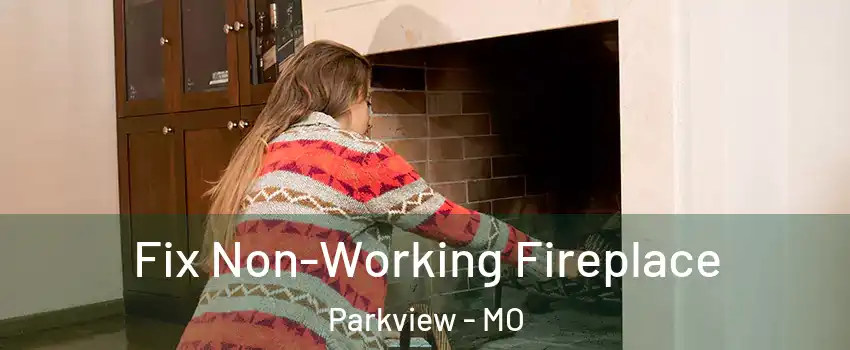 Fix Non-Working Fireplace Parkview - MO