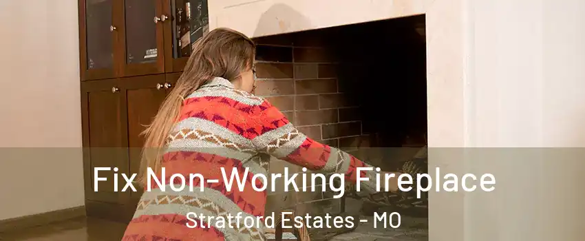 Fix Non-Working Fireplace Stratford Estates - MO