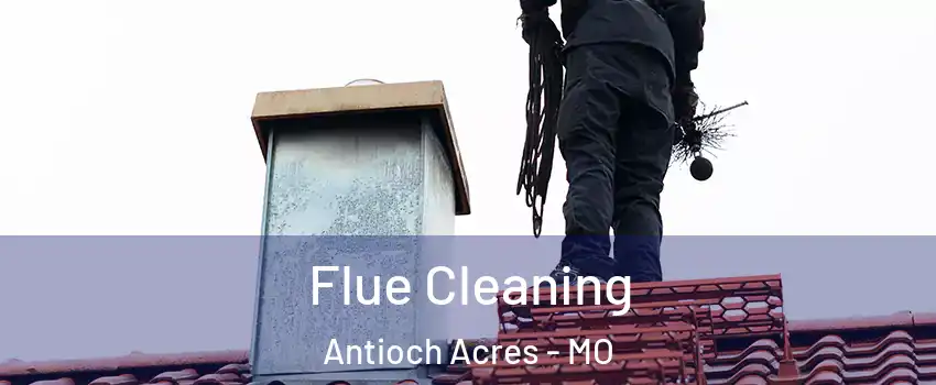 Flue Cleaning Antioch Acres - MO