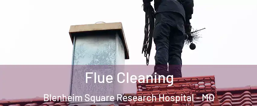 Flue Cleaning Blenheim Square Research Hospital - MO