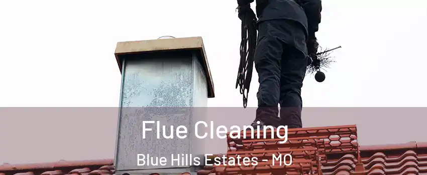 Flue Cleaning Blue Hills Estates - MO