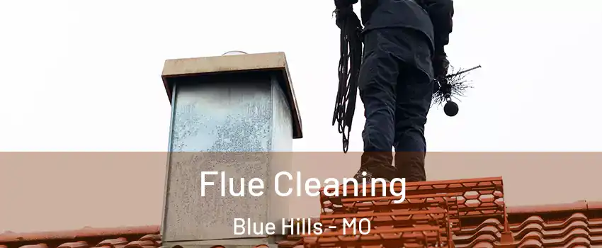 Flue Cleaning Blue Hills - MO