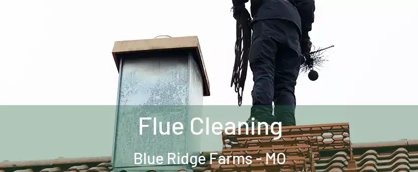 Flue Cleaning Blue Ridge Farms - MO