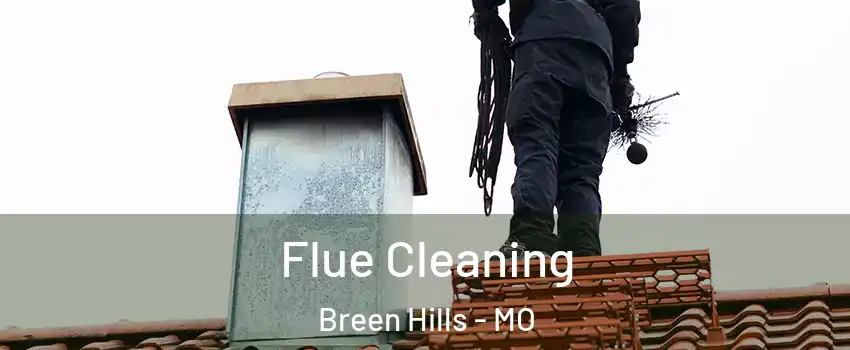 Flue Cleaning Breen Hills - MO