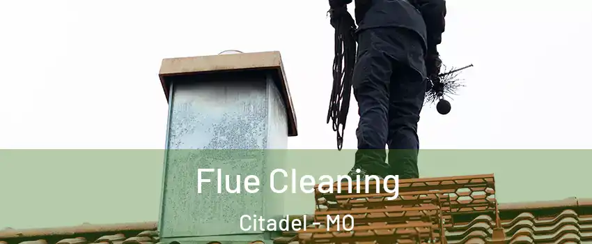 Flue Cleaning Citadel - MO