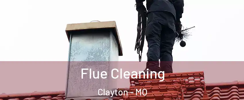 Flue Cleaning Clayton - MO