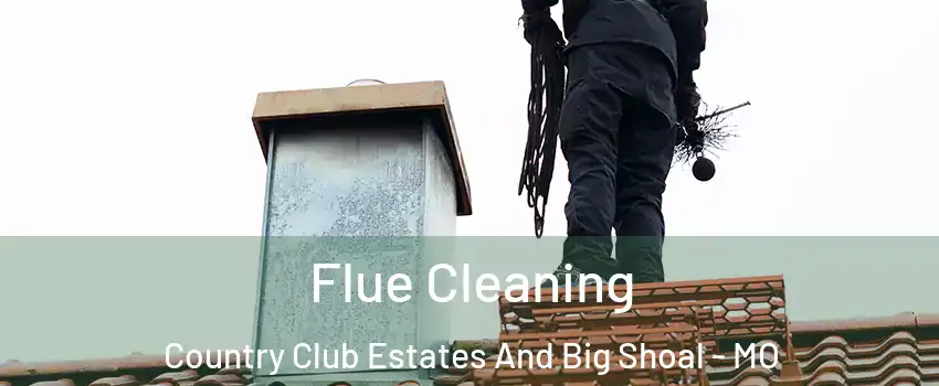 Flue Cleaning Country Club Estates And Big Shoal - MO