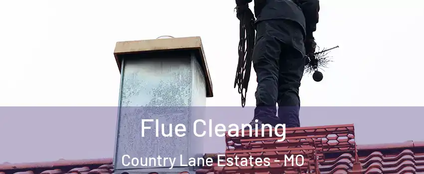 Flue Cleaning Country Lane Estates - MO