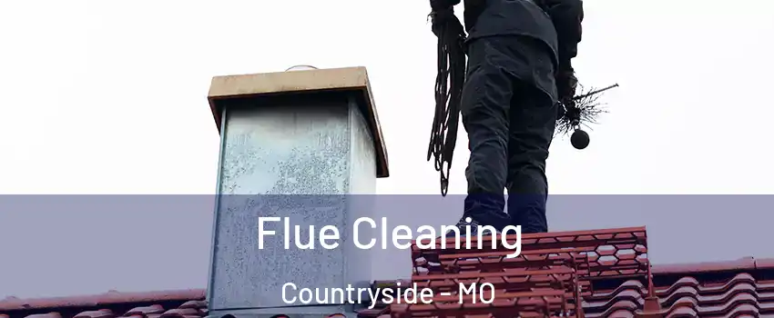 Flue Cleaning Countryside - MO