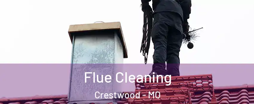 Flue Cleaning Crestwood - MO