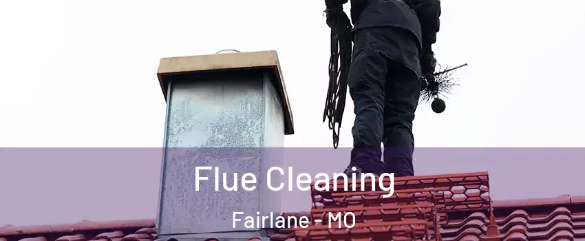 Flue Cleaning Fairlane - MO