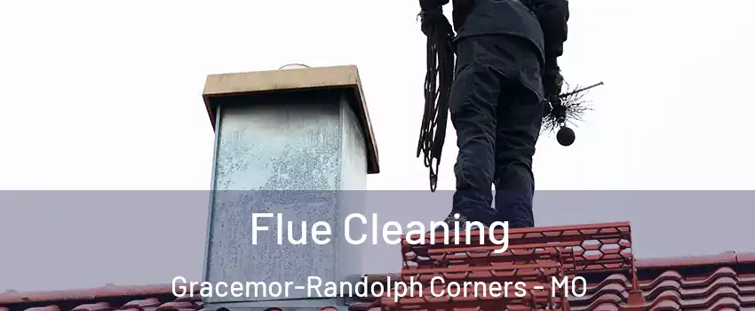 Flue Cleaning Gracemor-Randolph Corners - MO