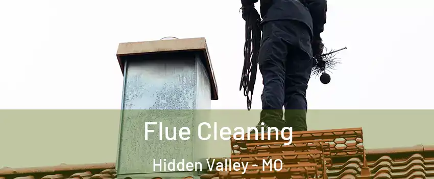 Flue Cleaning Hidden Valley - MO