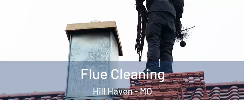 Flue Cleaning Hill Haven - MO